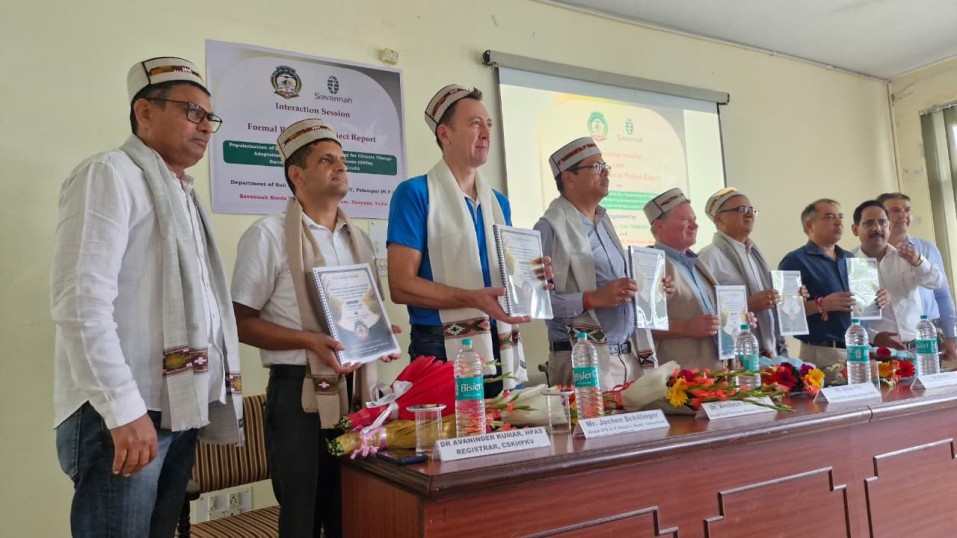 Himachal’s Farm University study demonstrates climate-smart rice production method reduces emissions and improves water efficiency